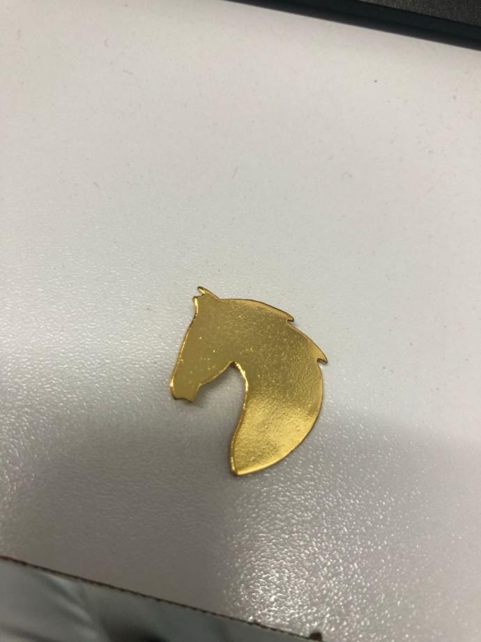 PIN CABALLO